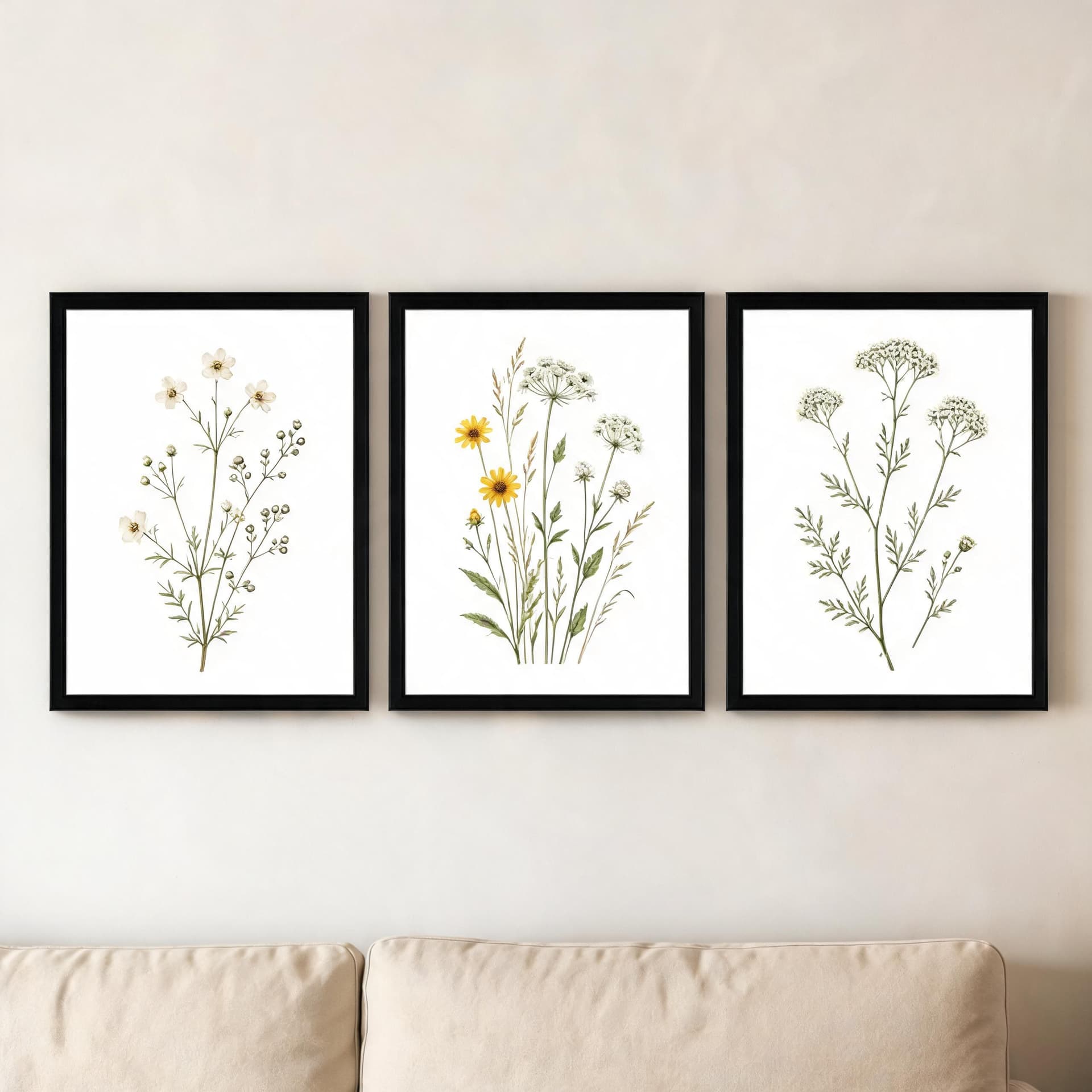 Field Notes Botanicals – Set of 3 Minimalist Wildflower Framed Wall Art — thumbnail 8