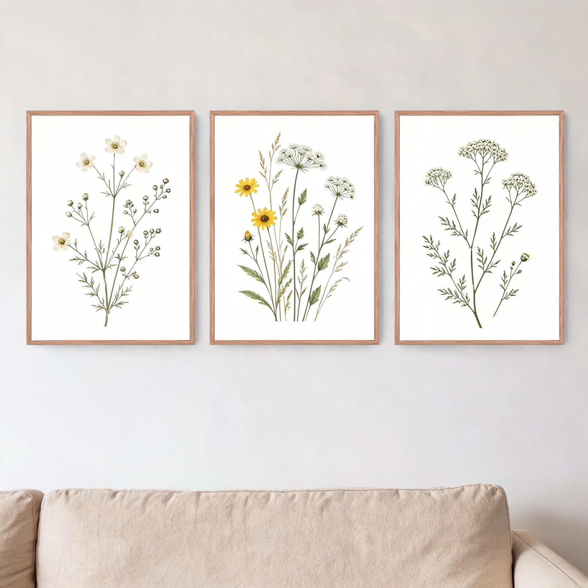 Field Notes Botanicals – Set of 3 Minimalist Wildflower Framed Wall Art — thumbnail 15