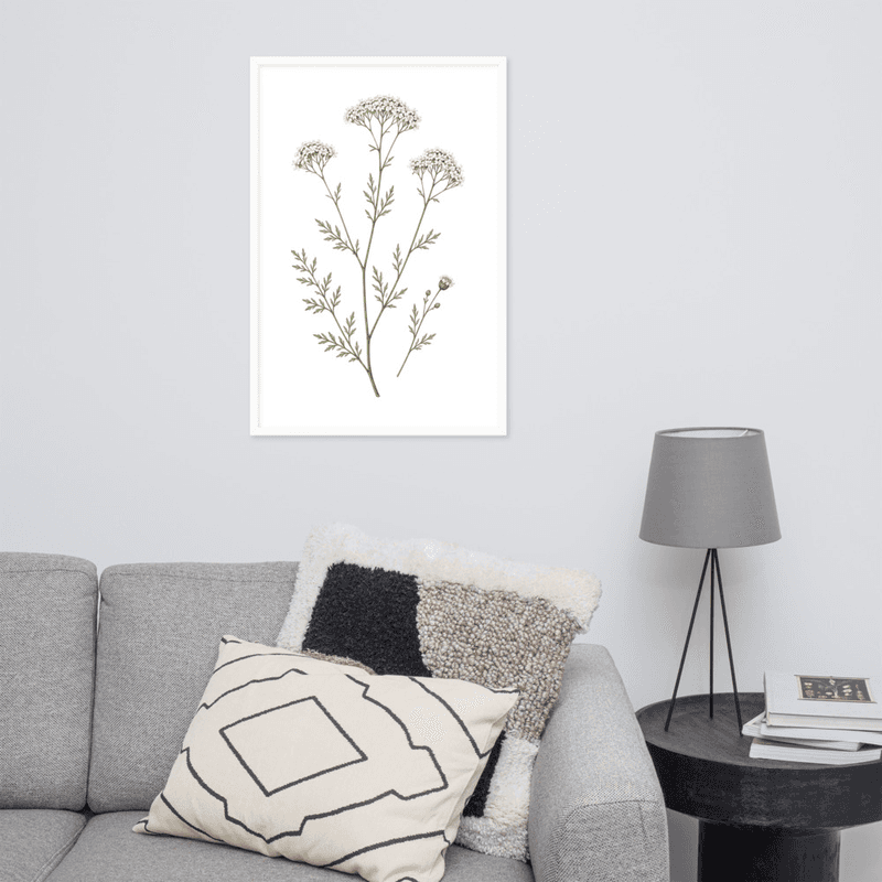 White Yarrow Botanical Framed Wall Art – Minimalist Wildflower Illustration on White Background — thumbnail 17