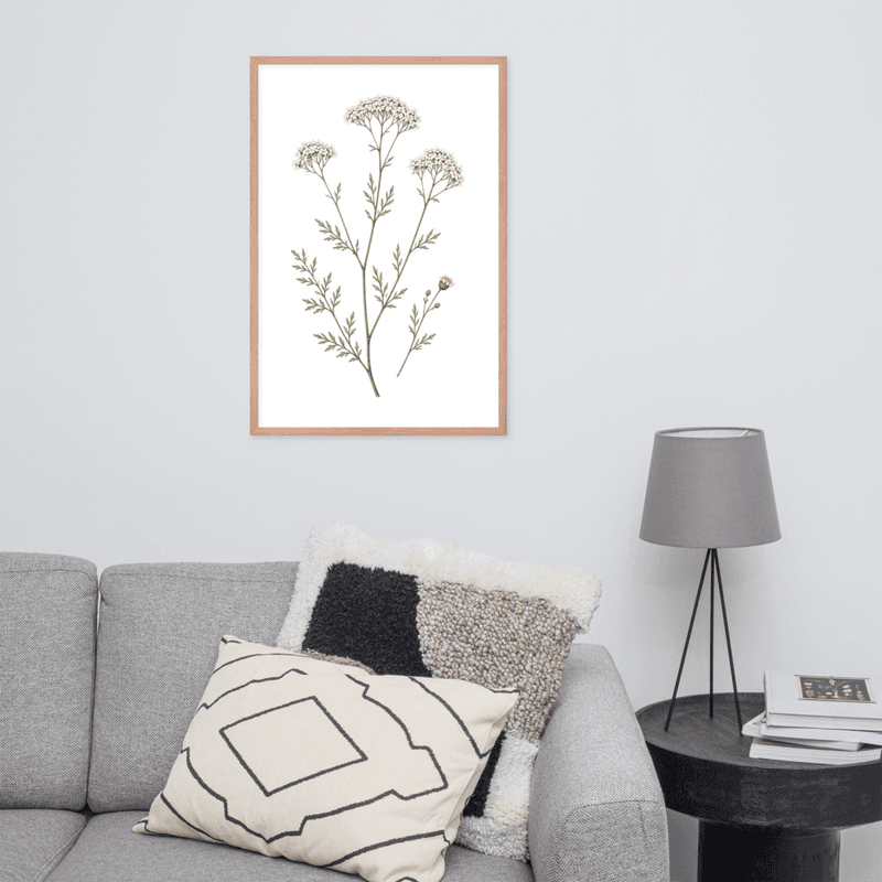 White Yarrow Botanical Framed Wall Art – Minimalist Wildflower Illustration on White Background — thumbnail 12