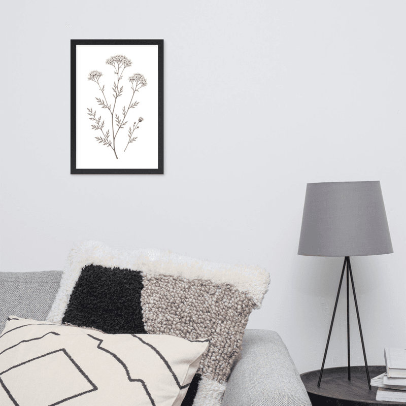 White Yarrow Botanical Framed Wall Art – Minimalist Wildflower Illustration on White Background — thumbnail 4