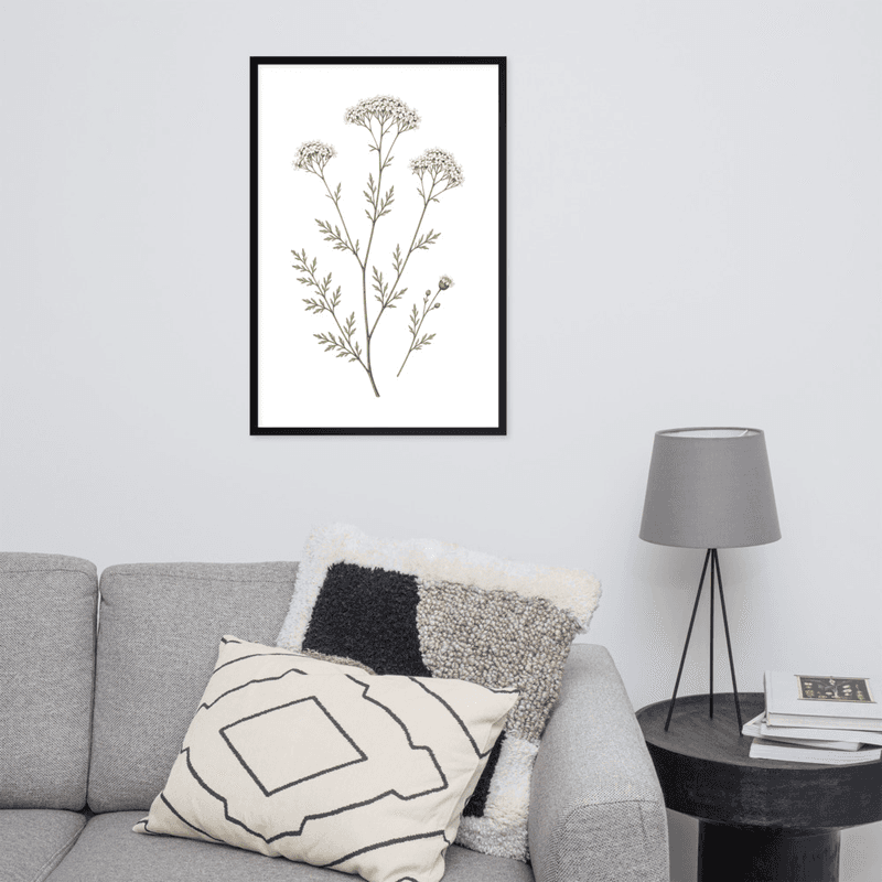White Yarrow Botanical Framed Wall Art – Minimalist Wildflower Illustration on White Background — thumbnail 7