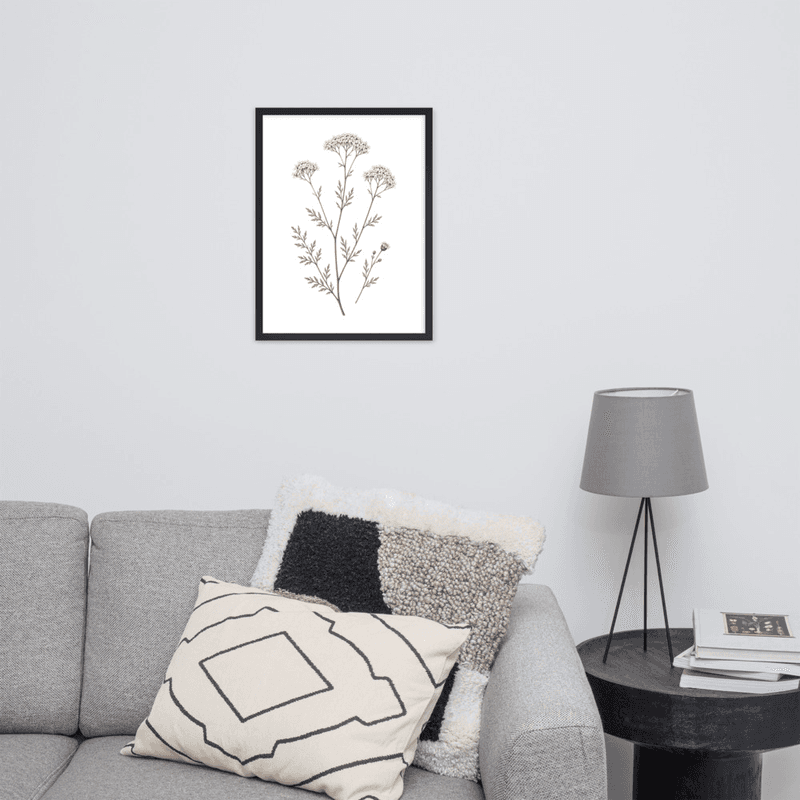 White Yarrow Botanical Framed Wall Art – Minimalist Wildflower Illustration on White Background — thumbnail 6
