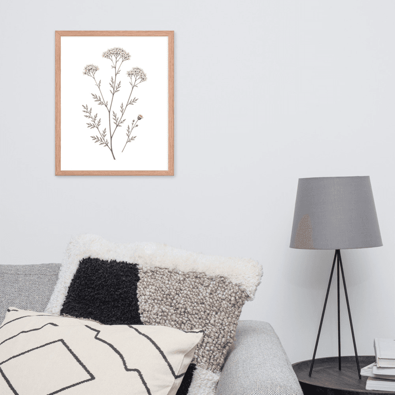 White Yarrow Botanical Framed Wall Art – Minimalist Wildflower Illustration on White Background — thumbnail 10