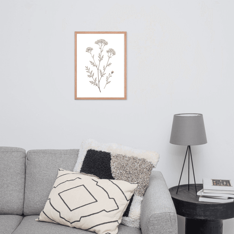 White Yarrow Botanical Framed Wall Art – Minimalist Wildflower Illustration on White Background — thumbnail 11