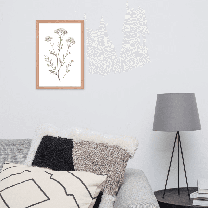 White Yarrow Botanical Framed Wall Art – Minimalist Wildflower Illustration on White Background — thumbnail 9